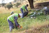 کارکنان نفت مسجدسلیمان زباله ها را از طبیعت جمع کردند