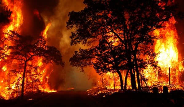 آتش سوزی دوباره در جنگل های باغملک/دوهواپیمای مهار آتش به محل اعزام شد/برآورد میزان خسارت در حال انجام است