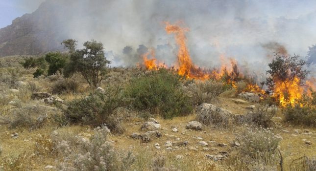 شعله‌های آتش در جنگل‌های بلوط همچنان زبانه می‌کشد/سرایت شعله‌های آتش به منطقه جوروند در بخش الوار گرمسیری