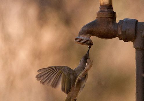 پیشنهاد اداره آب هندیجان برای تامین آب شرب به روش اسموز معکوس