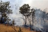 از آتش‌سوزی در جنگل‌های اندیمشک تا خواب مسؤولان