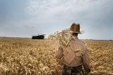 کشاورزان ‘عرب حسن’ شوشتر خواستار تعیین تکلیف مالکیت اراضی خود شدند