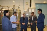 مدیرکل موسسه اعتباری آرمان در منطقه جنوب غرب کشور از کارخانه های تولیدی خوزستان بازدید کرد