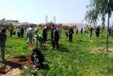 کاشت ۵۰۰ اصله نهال به مناسبت هفته منابع طبیعی و روز درختکاری در مسجدسلیمان