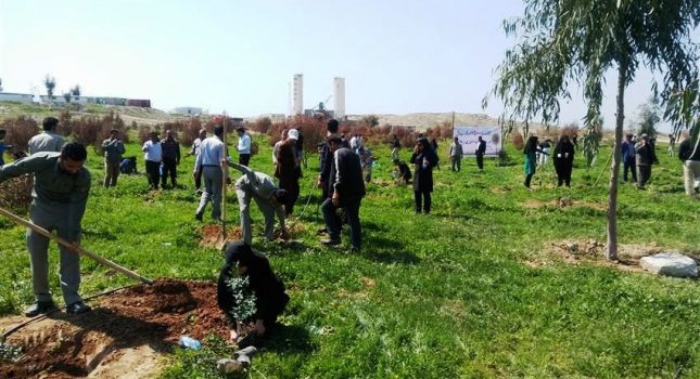 کاشت ۵۰۰ اصله نهال به مناسبت هفته منابع طبیعی و روز درختکاری در مسجدسلیمان