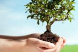 تکیمل پارک فدک عمل به توسعه فضای سبز در اندیمشک/توزیع ۱۵ هزار نهال برای توسعه درختکاری در اندیمشک