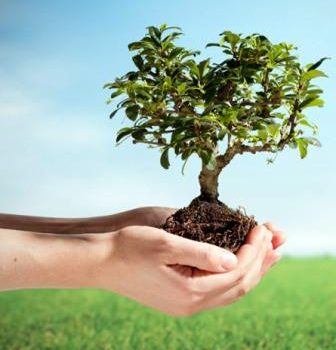 تکیمل پارک فدک عمل به توسعه فضای سبز در اندیمشک/توزیع ۱۵ هزار نهال برای توسعه درختکاری در اندیمشک