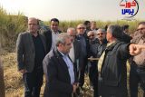 گزارش تصویری بازدید لاهیجان زاده مدیر کل محیط زیست خوزستان از کشت و صنعت کارون شوشتر