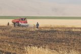 آتش ۴ هکتار از مزارع ایذه را خاکستر کرد