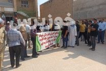 عدم مدیریت در تعاون روستایی خوزستان باعث اعتراض کلزا کاران شوشتر شد
