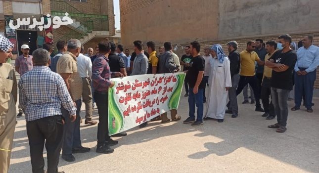 عدم مدیریت در تعاون روستایی خوزستان باعث اعتراض کلزا کاران شوشتر شد