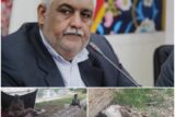 پایان کارتن خوابی یک بی خانمان با همت فرماندار شهرستان کرخه 