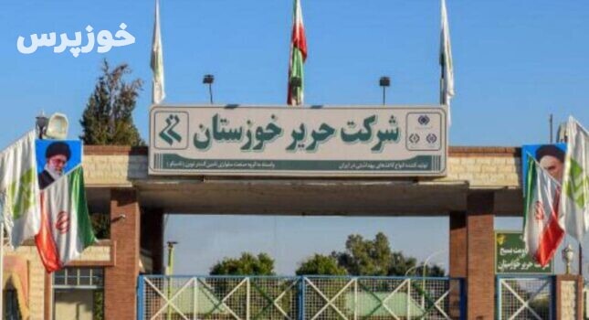 هلدینگ سلولزی تاپیکو برنامه‌ای برای توسعه‌ی شرکت حریر خوزستان ندارد / وزیر کار نظارت جدی بر عملکرد مدیران داشته باشد 