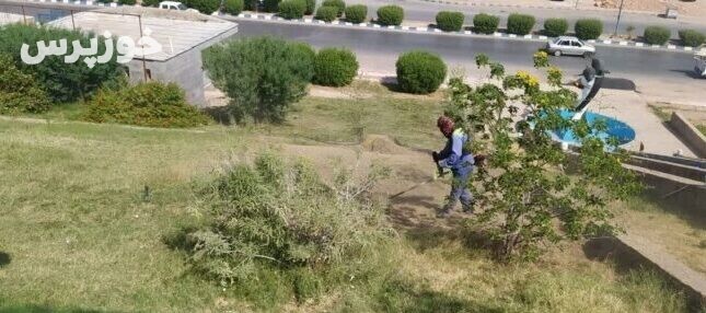 گزیده ای از اقدامات واحد فضای سبز (معاونت خدمات شهری) شهرداری مسجدسلیمان در هفته ای که گذشت