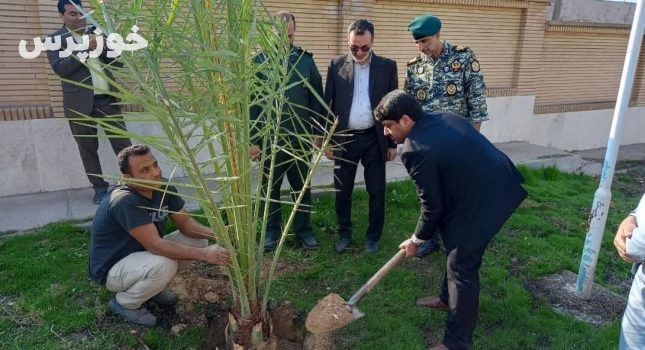 کاشت بیش از ۳۰۰ نهال مرکبات و نخل در محوطه‌ی فضای سبز ساختمان جدید دادگستری شوشتر