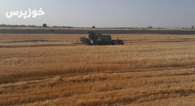 بازدید مسئولین از برداشت محصول مرغوب گندم در شهرستان رامهرمز