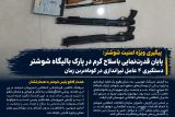 پایان قدرت‌نمایی با سلاح گرم در پارک بالیگاه شوشتر / دستگیری ۴ عامل تیراندازی در کوتاه‌ترین زمان
